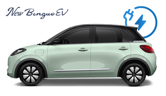 New BinguoEV